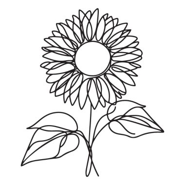 Ayçiçeği Siluet Vektör Tasarımı 'nın Güzel Tek Satır Çizimi