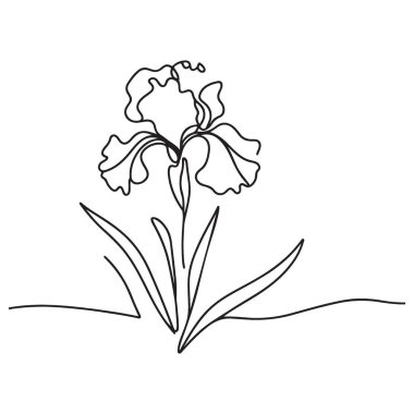 Botanik Tasarımlar için Zarif İris Çiçeği Çizgisi Sanat İllüstrasyonu