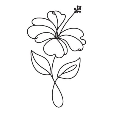 Basit Hibiscus Çiçek Çizimi Tropikal Çiçek Vektör Tasarım Sanatı