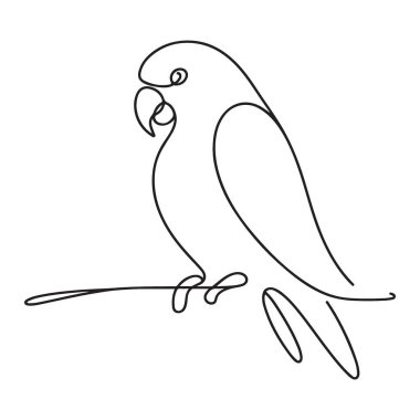 Papağan Birinci Dal Vektör Çizim Çizimine Tüymüş