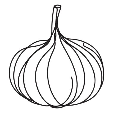 Basit Sarımsak Bitkisi Çizimi Sebze Silueti
