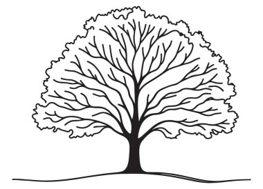 Doğa ve Tasarım Projeleri için Ayrıntılı Ağaç Çizim Silueti