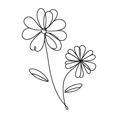 Zarif Köklü İki Çiçeğin Basit Çizimi