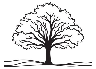 Görkemli Ağaç Silüeti Görünümü Doğal Huzuru ve Sanatsal Cazibeyi Artırıyor