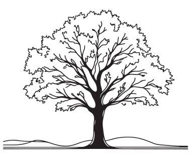 Dalları Vektör Resimli Bir Ağacın Ayrıntılı Silüeti