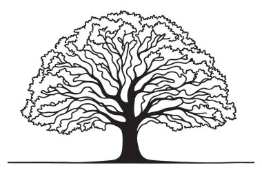 Ayrıntılı Meşe Ağacı Görünümü Gücü ve Doğayı Sembolize Ediyor