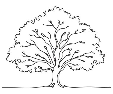 Hassas Bir Satır Ağaç Resimleri Doğal Basitliği Sunar