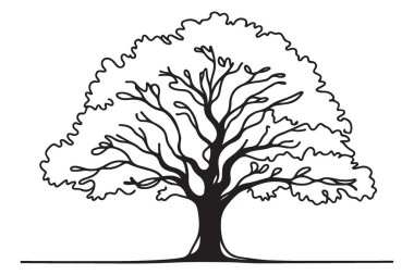 Dalları olan büyük yapraklı bir ağacın silüet vektör çizimi