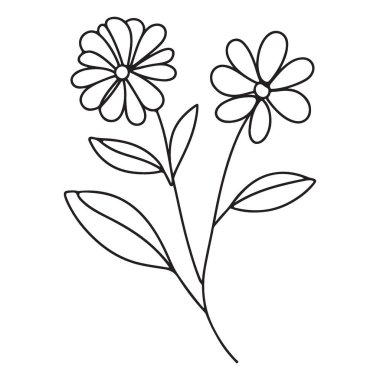Basit Daisy Çiçekleri Görüntü Çizgi Sanatı Biçimi