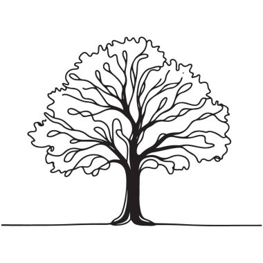 Doğal Estetik Cazibe Sağlayan Ayrıntılı Taslak Ağaç Resimleri