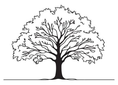 Doğal Tasarım ve Botanik Estetiği Vurgulayan Detaylı Ağaç Resimleri