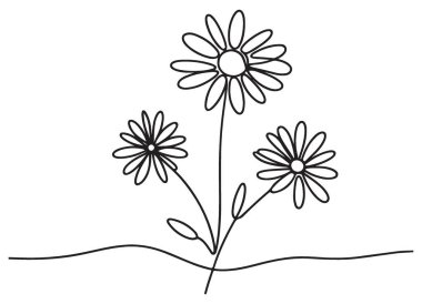 Sürekli çizgi çiziminde Daisy çiçeği illüstrasyon vektör tasarımı