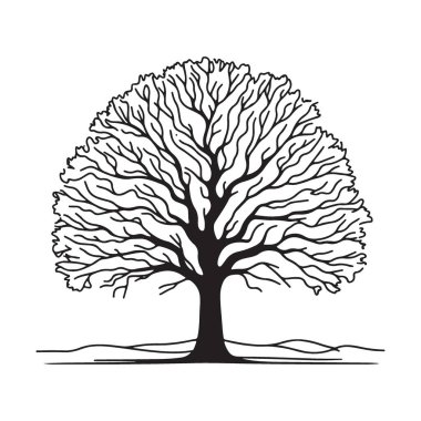 Siluet Ağacı Resimleri Vektör Resmi Ayrıntılı Dallar ve Yapraklar
