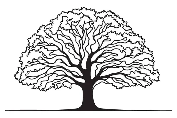 Ayrıntılı Meşe Ağacı Görünümü Gücü ve Doğayı Sembolize Ediyor