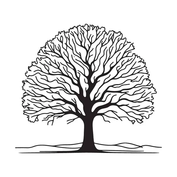 Siluet Ağacı Resimleri Vektör Resmi Ayrıntılı Dallar ve Yapraklar