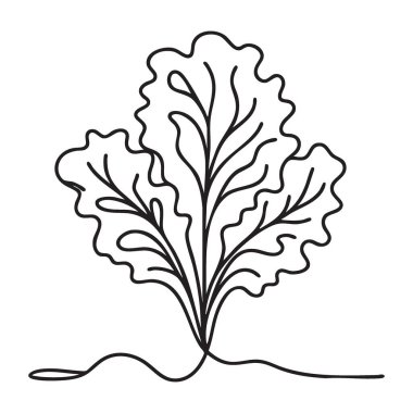 Taze Yeşil Marul Başlığı Tek Çizgili Organik Salata Grafiği