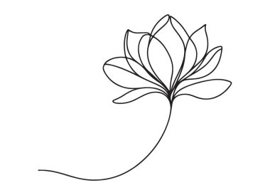 Bir Manolya Çiçeği Çizim Sanatının Zarif Tek Çizgisi