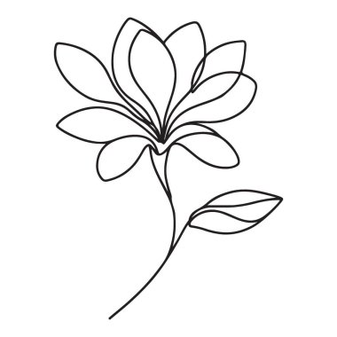 Manolya çiçek temsili indirme sanatının güzel tek satır sanatı