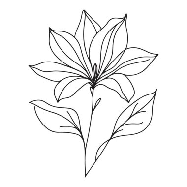 Zarif Bitki Sanatı Çizimi Güzel Çiçek Çizimi