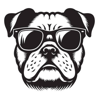 Cool Bulldog güneş gözlüğü takıyor vektör illüstrasyonu Köpek severler için mükemmel