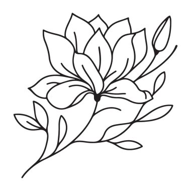 Çiçek Tasarım Projeleri için Zarif Manolya Çiçek Çizgisi Sanatı