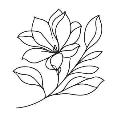 Botanik Tasarımlar için Güzel Manolya Çiçek Vektör Çizimi