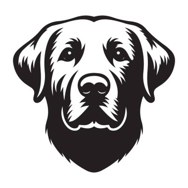 Sadık Labrador Retriever Köpek Yetiştirilmiş Portre Vektörü Çizim Tasarımı