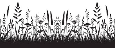 Ayrıntılı Çimenler ve Yaban Çiçekleri Siluet Sınır Tasarımı Elementi