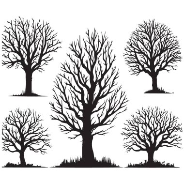 Çıplak Kış Ağacı Silüeti Doğa Tasarımları için Vektör İllüstrasyonu