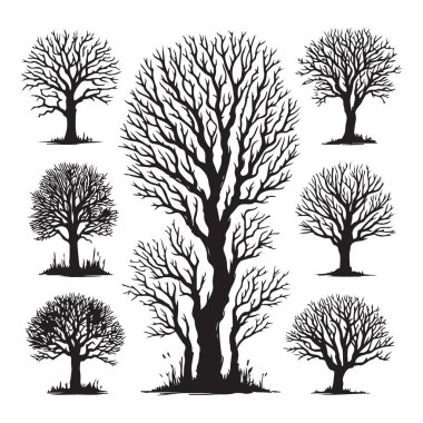 Çıplak Ağaçlar Grubu Siluet Vektör İllüstrasyon Sanatı