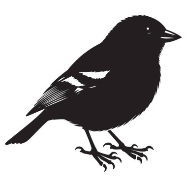 Bir dalın üzerine tünemiş serçe kuşun büyüleyici silueti