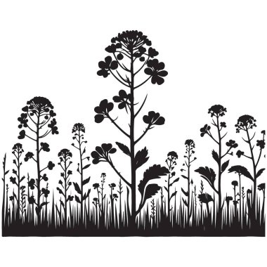 Zarif kır çiçekleriyle Hardal Bitkisi Tarlası 'nın Zarif Silueti