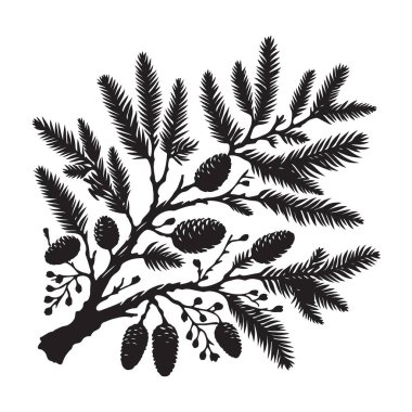 Koni Vektörü Resimleriyle Ayrıntılı Spruce Şubesi Silueti