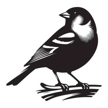 Ayrıntılı Serçe Silueti Resimleri Kuş Vektörü Grafik Sanatı