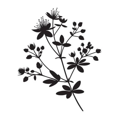 Çiçek Tasarımları İçin Zarif Yaban Çiçeği Silüeti Çizimi