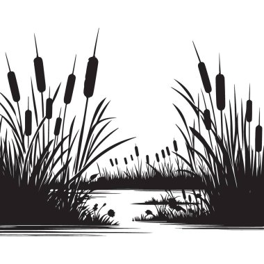 Serene Görseller için Çizgili Kuyruklu Görüntü Göleti Görüntü Çizimi