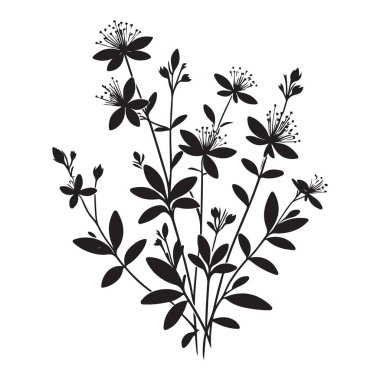 Botanik ve çiçek tasarımının vektör silueti