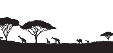 Silüet afrika manzarası zürafa ağaçlarıyla vahşi yaşam.
