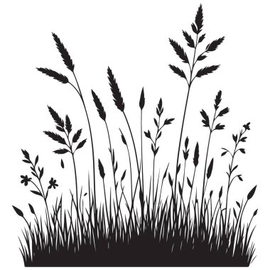 Vahşi Çimen Silüeti Görünümü Doğal Çayır ve Alan Ortamı