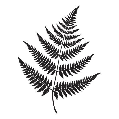 Botanik Grafik Tasarımı için Siluet Fern Yaprak Vektör İllüstrasyonu
