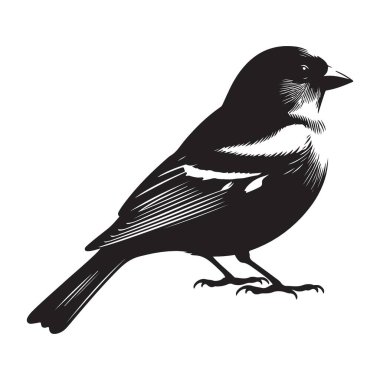 Büyüleyici Serçe Silueti Vahşi Yaşam Tasarımı Kuş Sanatı