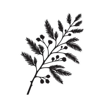 Böğürtlenli Zarif Botanik Şubesi Dekorasyon için Siluet Çizimi
