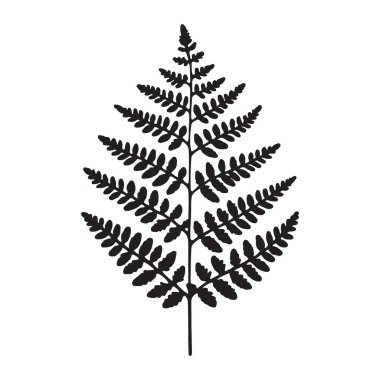 Eğreltiotu Yaprak Silueti Vektör İllüstrasyon Botanik Tasarım Şablonu