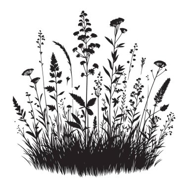 Vahşi Çimen ve Çiçekler Doğa İçin Siluet Vektörü İlham Veren Tasarımlar