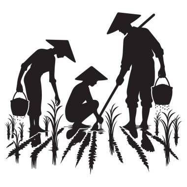 Siluet Asyalı Pirinç Çiftçileri Sıkı Vektör İllüstrasyonu Çalışıyor