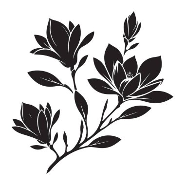 Siluet Manolya Çiçekleri Vektör Grafik Tasarım Botanik Çizim