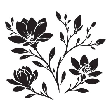 Magnolia Çiçekleri Siluet Çiçeği Yapraklar ve Çiçek Tasarımı