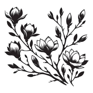 Güzel Çiçek Tasarımı Projeleri için Manolya Çiçeği Silüeti Çizimi