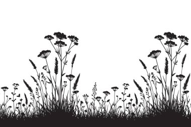 Siluet Vektör Çimeni ve Yaban Çiçekleri Çizimleri Botanik Elementleri