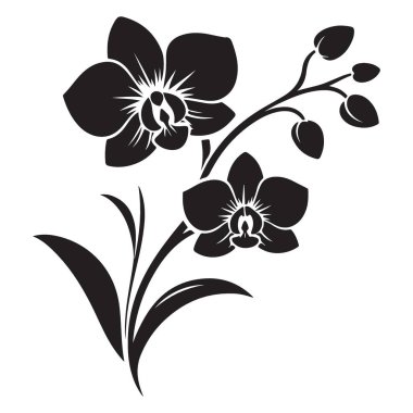 Grafikler için Zarif Orkide Çiçekleri Siluet Vektör İllüstrasyonu
